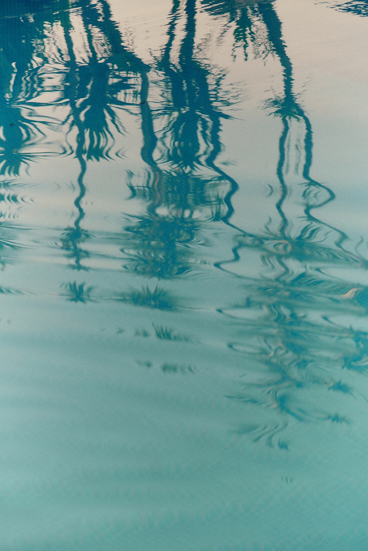 Palm reflections on the turquoise water of a managed villa pool